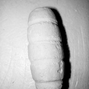 Native chalk Nzu female