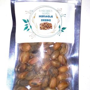 Miracle seeds/Ghana seeds/Croton