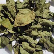 Lantana Kamara leaves