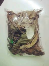 FERTILITY LEAVES/ NEW BOULDIA/OGIRISI