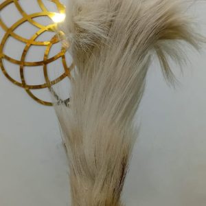 HORSE TAIL