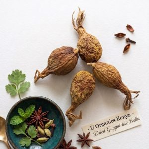 ALLIGATOR PEPPER NATIVE SMALL