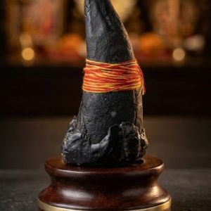 Commanding Horn