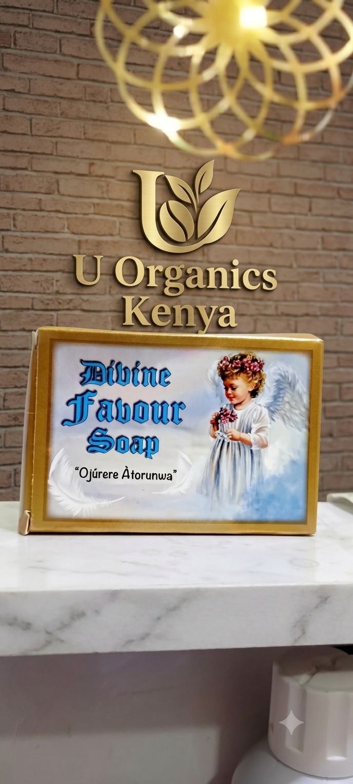DIVINE FAVOR SOAP