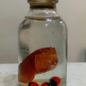LOVE ATTRACTION OIL